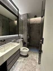 Cuscaden Reserve (D10), Condominium #577360091